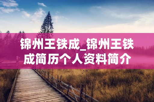 锦州王铁成_锦州王铁成简历个人资料简介