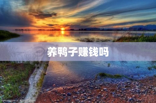 养鸭子赚钱吗