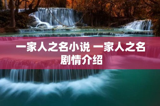 一家人之名小说 一家人之名 剧情介绍