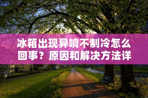 冰箱出现异响不制冷怎么回事?原因和解决方法详解 冰箱出现异响不制冷怎么回事?原因和解决方法详解