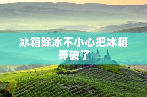 冰箱除冰不小心把冰箱弄破了:如何应对和修复 冰箱除冰不小心把冰箱弄破了:如何应对和修复
