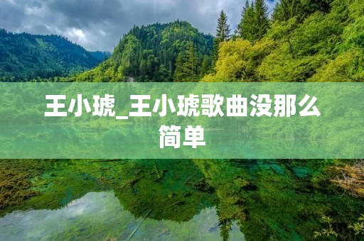 王小琥_王小琥歌曲没那么简单 王小琥_王小琥歌曲没那么简单