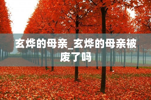 玄烨的母亲_玄烨的母亲被废了吗
