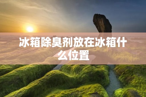 冰箱除臭剂放在冰箱什么位置：保持食物清新的小妙招