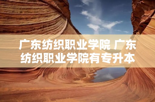 广东纺织职业学院 广东纺织职业学院有专升本吗