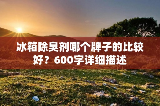 冰箱除臭剂哪个牌子的比较好?600字详细描述 冰箱除臭剂哪个牌子的比较好?600字详细描述
