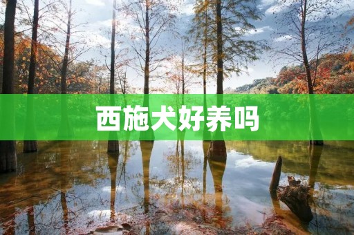 西施犬好养吗 西施犬好养吗