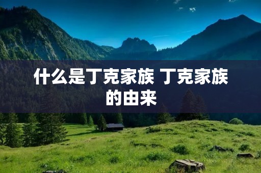 什么是丁克家族 丁克家族的由来