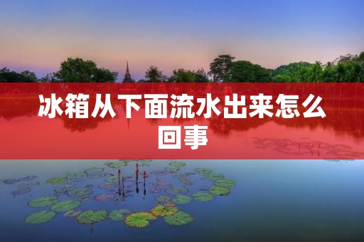 冰箱从下面流水出来怎么回事：详细描述