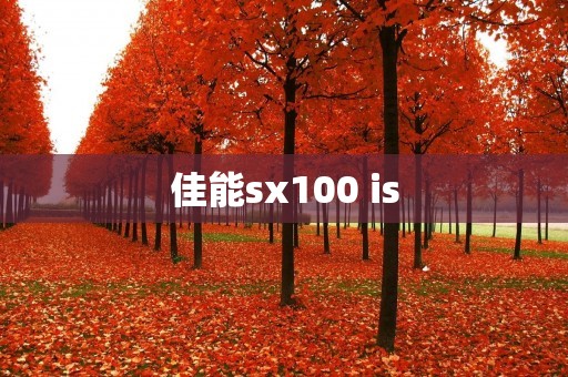 佳能sx100 is：一款强大的数码相机