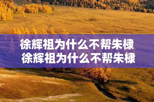 徐辉祖为什么不帮朱棣 徐辉祖为什么不帮朱棣打仗