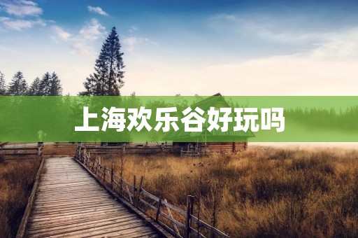 上海欢乐谷好玩吗 上海欢乐谷好玩吗