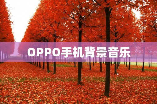 OPPO手机背景音乐：让音乐伴随你的每一刻