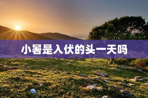 小暑是入伏的头一天吗