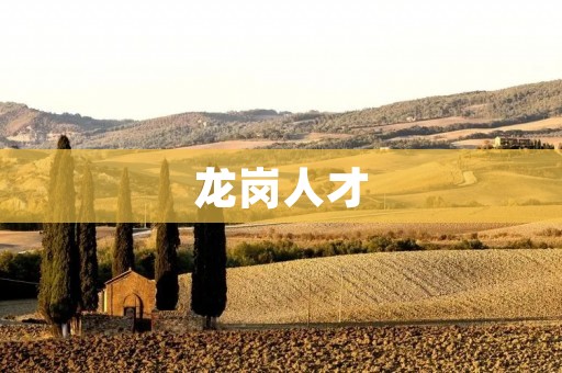 龙岗人才:开启创新时代的引擎 龙岗人才:开启创新时代的引擎