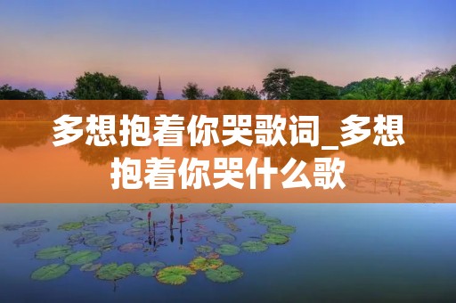 多想抱着你哭歌词_多想抱着你哭什么歌