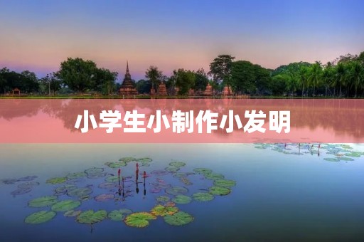 小学生小制作小发明：创造未来的小天才
