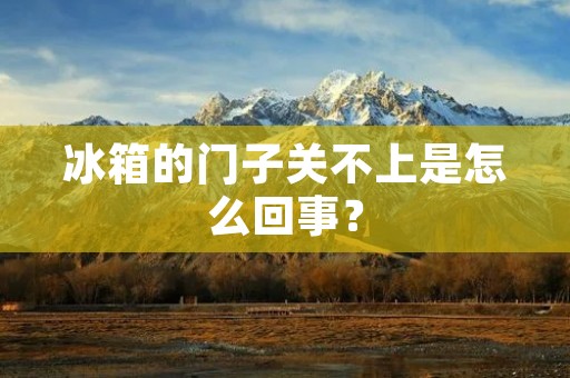 冰箱的门子关不上是怎么回事？