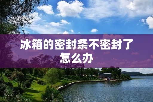 冰箱的密封条不密封了怎么办