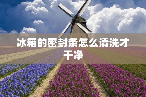 冰箱的密封条怎么清洗才干净