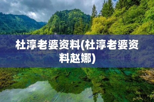 杜淳老婆资料(杜淳老婆资料赵娜)