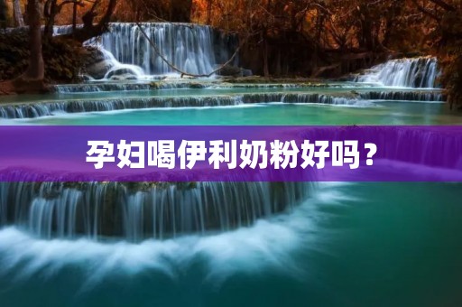 孕妇喝伊利奶粉好吗? 孕妇喝伊利奶粉好吗?