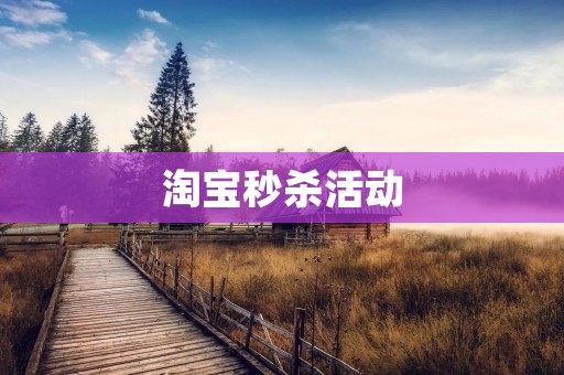 淘宝秒杀活动：抢购狂欢引爆购物狂潮