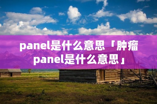 panel是什么意思「肿瘤panel是什么意思」 panel是什么意思「肿瘤panel是什么意思」