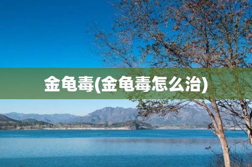 金龟毒(金龟毒怎么治)