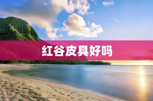 红谷皮具好吗