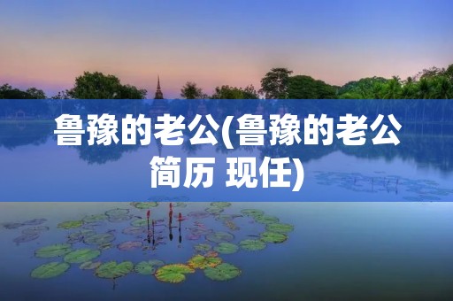 鲁豫的老公(鲁豫的老公简历 现任)