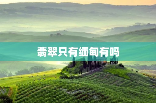 翡翠只有缅甸有吗 翡翠只有缅甸有吗
