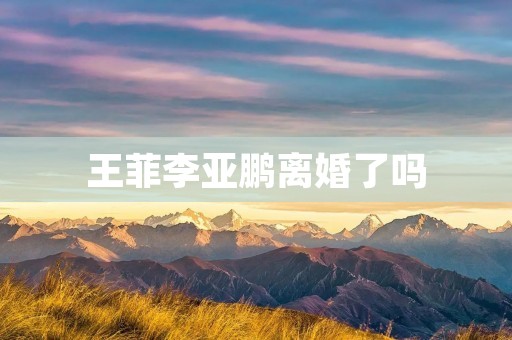 王菲李亚鹏离婚了吗