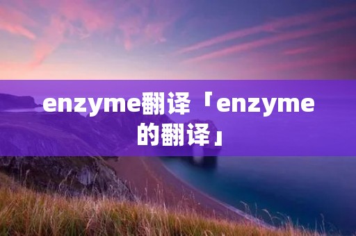 enzyme翻译「enzyme的翻译」 enzyme翻译「enzyme的翻译」