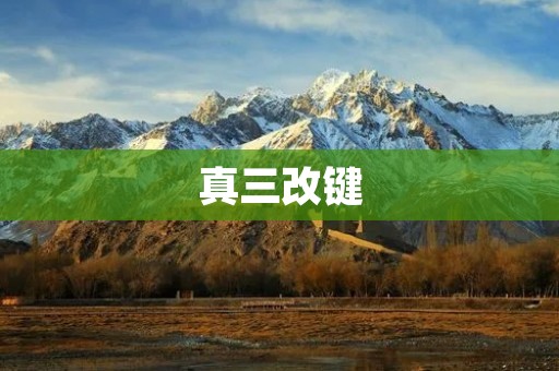 真三改键：让你在游戏中畅快操作的利器