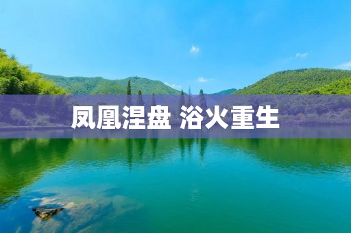 凤凰涅盘 浴火重生:重塑辉煌的传奇之路 凤凰涅盘 浴火重生:重塑辉煌的传奇之路