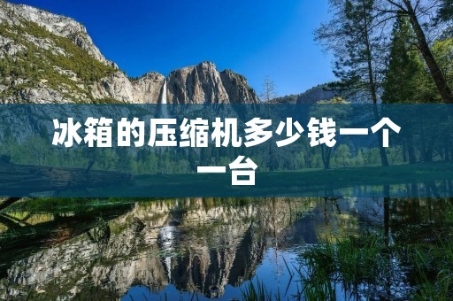 冰箱的压缩机多少钱一个一台：市场价格与选购建议