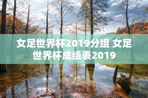 女足世界杯2019分组 女足世界杯成绩表2019