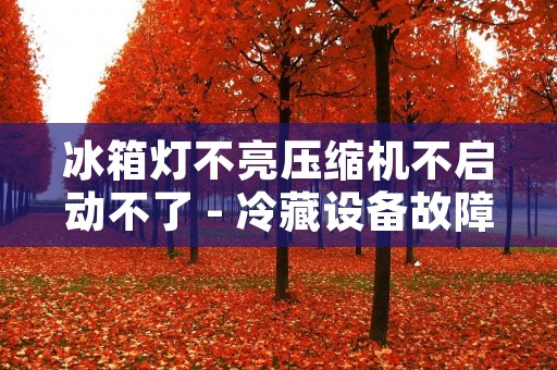 冰箱灯不亮压缩机不启动不了 - 冷藏设备故障原因及解决方法 冰箱灯不亮压缩机不启动不了 - 冷藏设备故障原因及解决方法