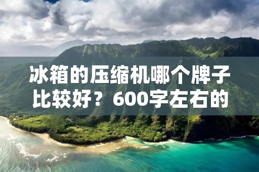 冰箱的压缩机哪个牌子比较好?600字左右的详细描述 冰箱的压缩机哪个牌子比较好?600字左右的详细描述