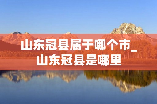 山东冠县属于哪个市_山东冠县是哪里