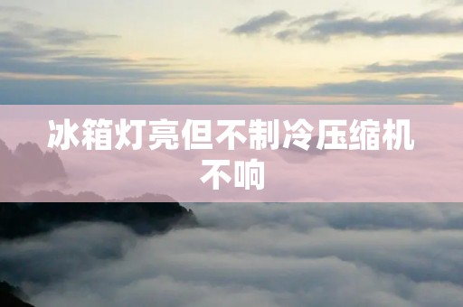 冰箱灯亮但不制冷压缩机不响：可能的原因及解决方法