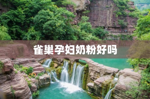 雀巢孕妇奶粉好吗 雀巢孕妇奶粉好吗