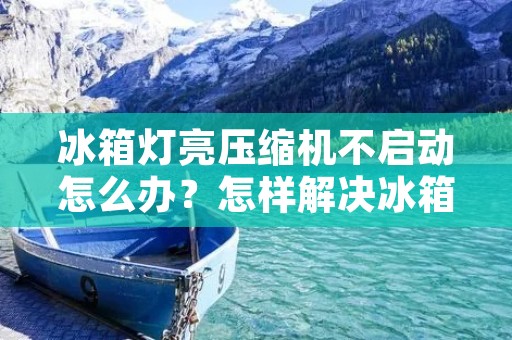 冰箱灯亮压缩机不启动怎么办?怎样解决冰箱灯亮压缩机不启动的问题? 冰箱灯亮压缩机不启动怎么办?怎样解决冰箱灯亮压缩机不启动的问题?
