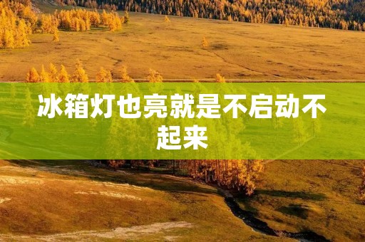 冰箱灯也亮就是不启动不起来:探究故障原因及解决方法 冰箱灯也亮就是不启动不起来:探究故障原因及解决方法