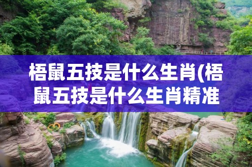 梧鼠五技是什么生肖(梧鼠五技是什么生肖精准解释) 梧鼠五技是什么生肖(梧鼠五技是什么生肖精准解释)