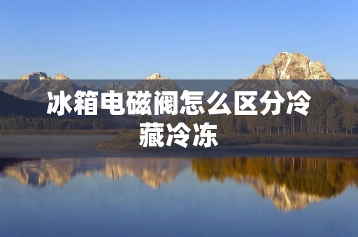 冰箱电磁阀怎么区分冷藏冷冻 冰箱电磁阀怎么区分冷藏冷冻