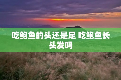 吃鲍鱼的头还是足 吃鲍鱼长头发吗 吃鲍鱼的头还是足 吃鲍鱼长头发吗