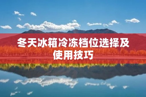 冬天冰箱冷冻档位选择及使用技巧:为您解读最佳冷冻方式 冬天冰箱冷冻档位选择及使用技巧:为您解读最佳冷冻方式