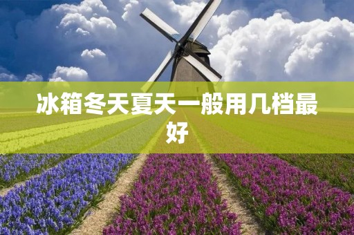 冰箱冬天夏天一般用几档最好 冰箱冬天夏天一般用几档最好